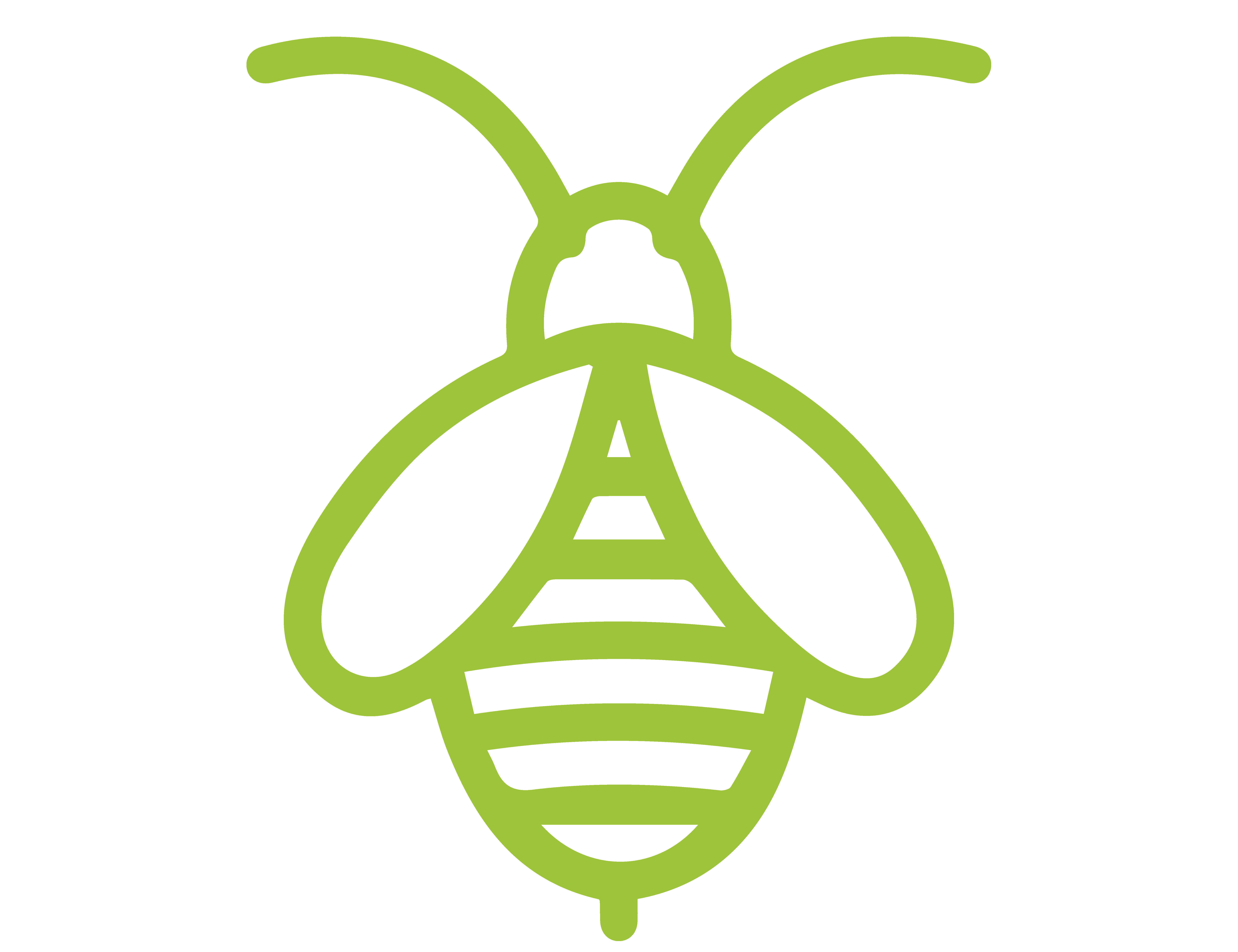 Beekeeper Icon